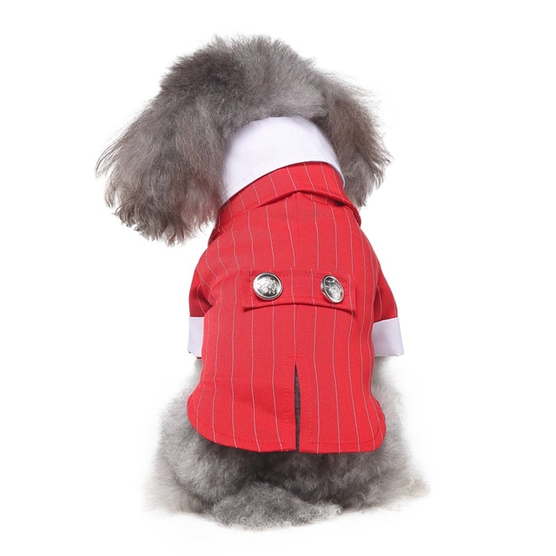 Dog Tuxedo Wedding Dress for Special Occasions