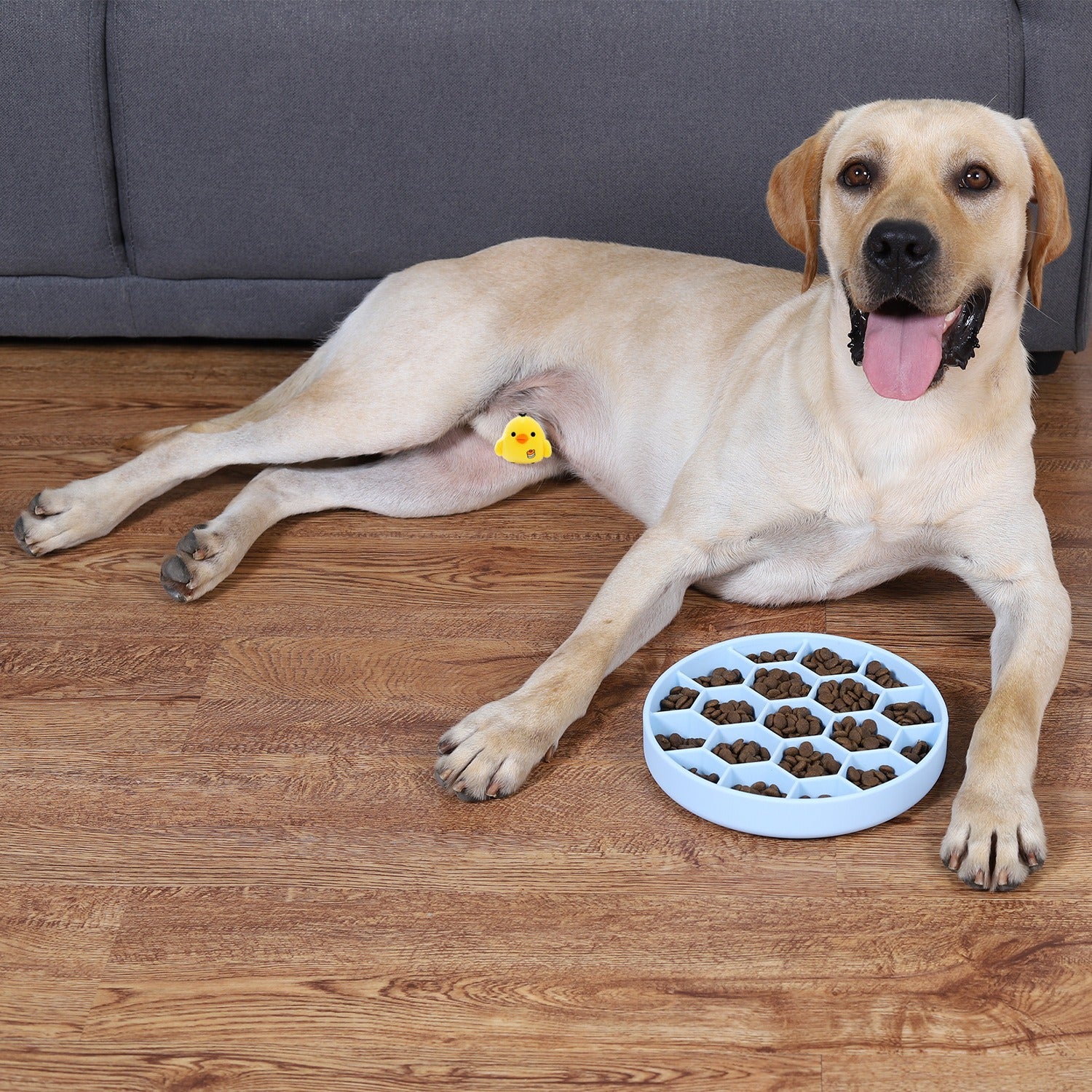 Honeycomb Slow Feeder Pet Bowl