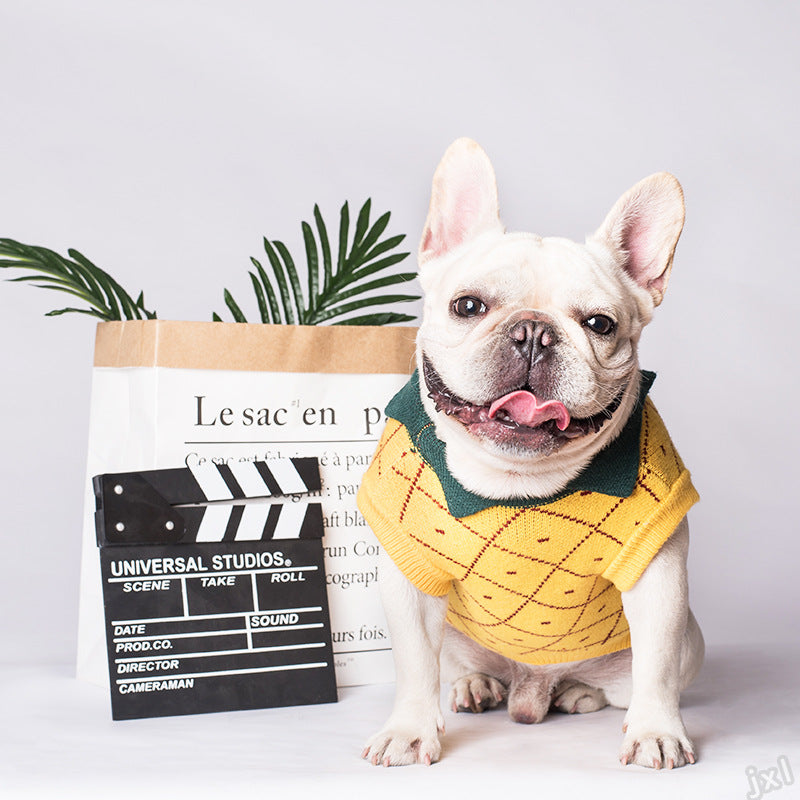 Dog Apparel Collection for Stylish Pets