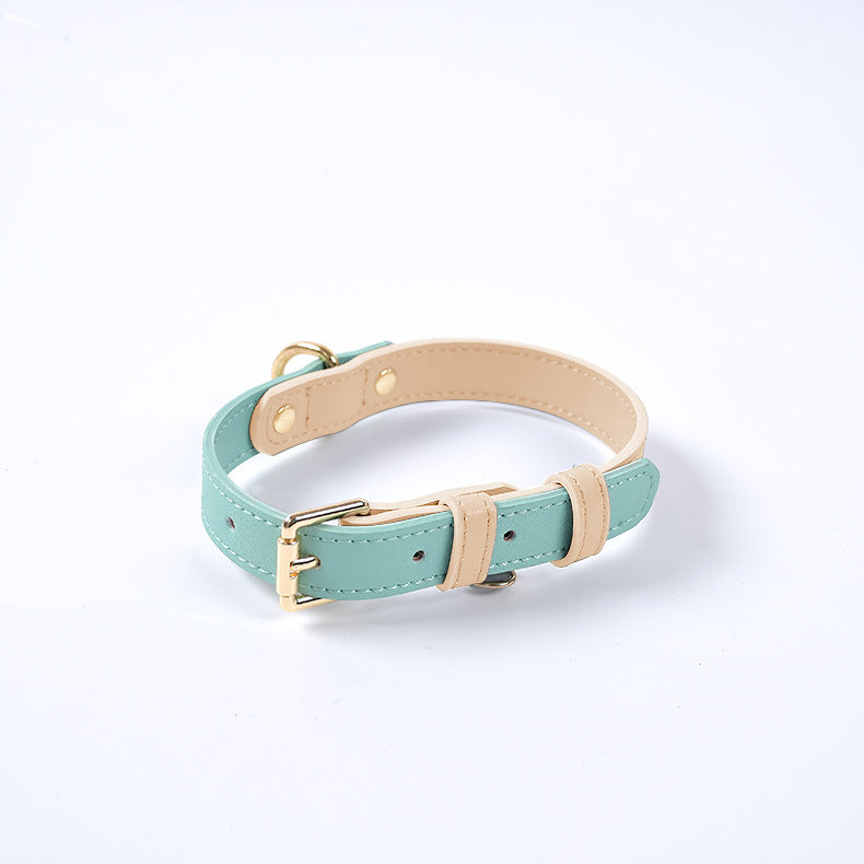 Leather Dog Leash & Collar