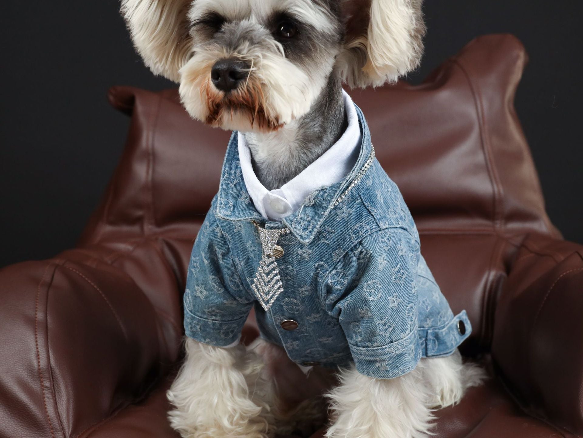Pet Denim Shirt for Spring and Summer Wear