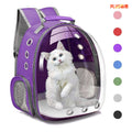 Transparent Cat Backpack Carrier