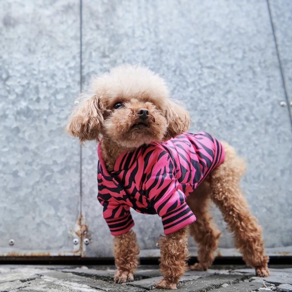 Stylish Dog Jacket - Warm Cotton Pet Apparel