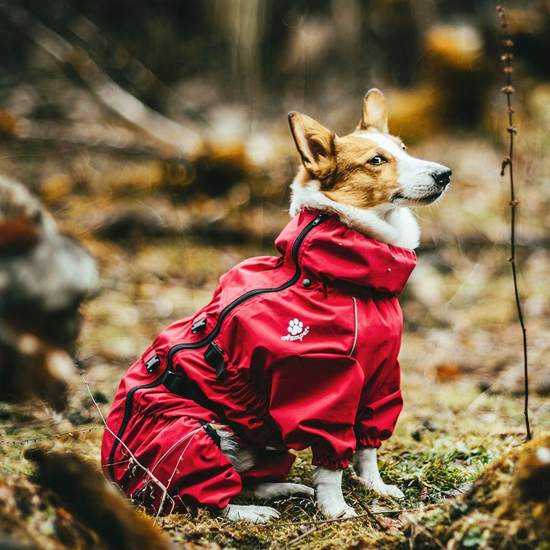 Four Legged Pet Sweater