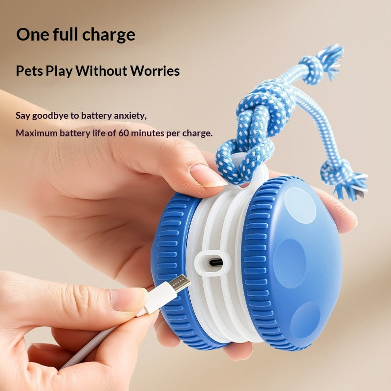 Rechargeable Pet Rolling Toy Ball