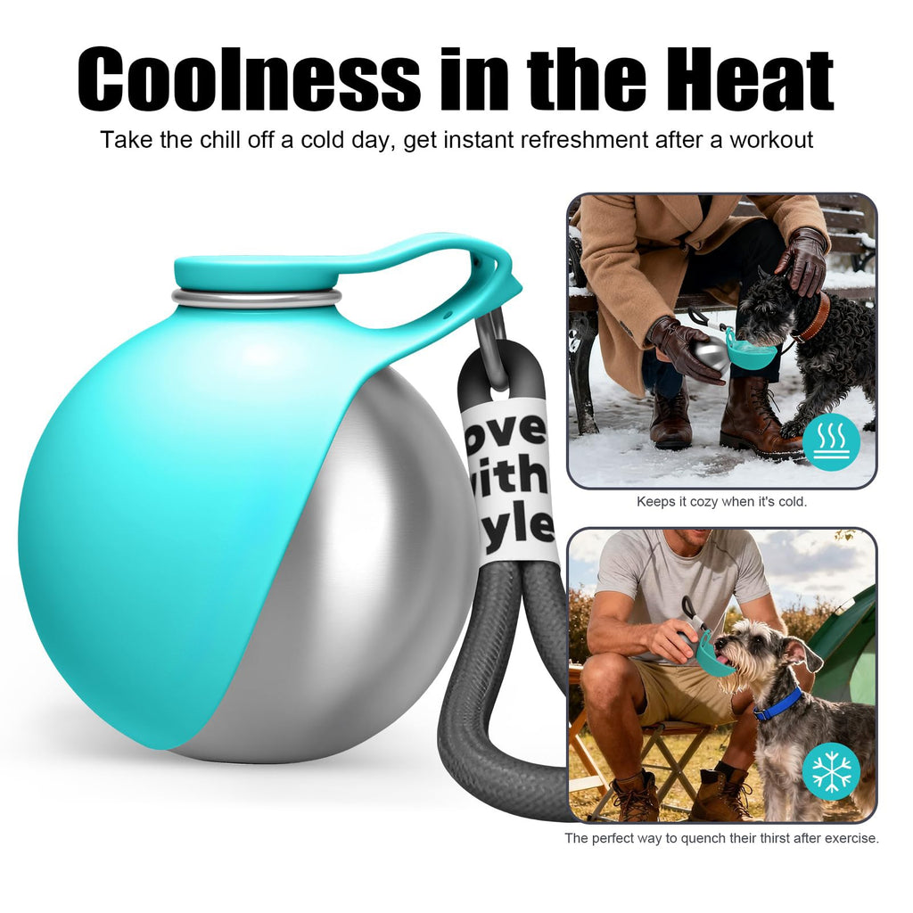 Portable Stainless Steel Dog Water Bottle with Bowl, 10oz