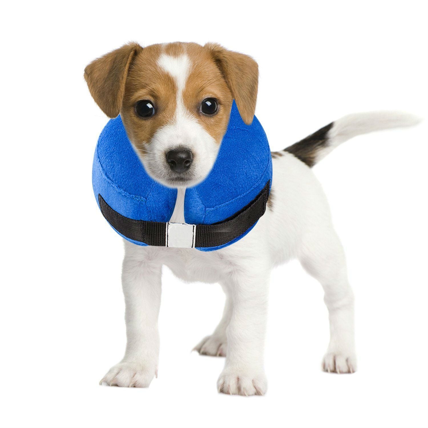 Fashionable Dog Collar - Inflatable Warm Neck Circle