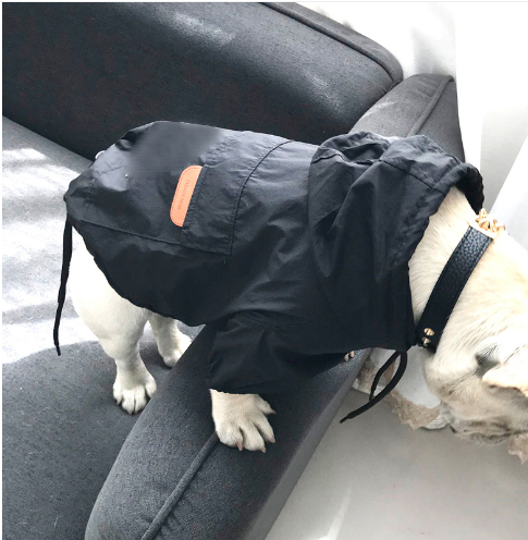 Dog Sunscreen for Skin Protection