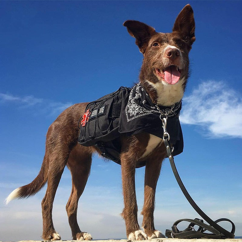Dog Outdoor Travel Harness Bag