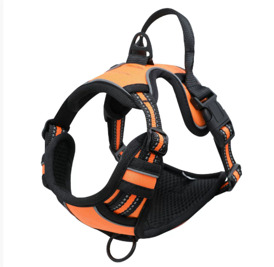 LED Dog Harness for Medium & Large Dogs - Night Travel