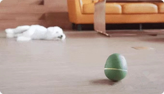 Egg-Shaped Dancing Pet Toy
