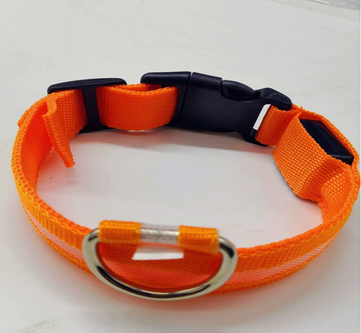Luminous LED Dog Collar
