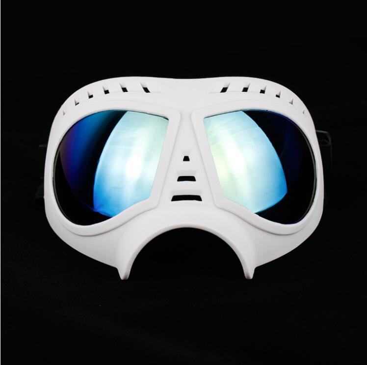 Pet Sunglasses and Helmet Accessories for Headwear