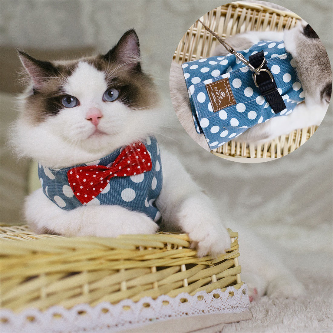 Cute Cat Chest Harness with Traction Rope