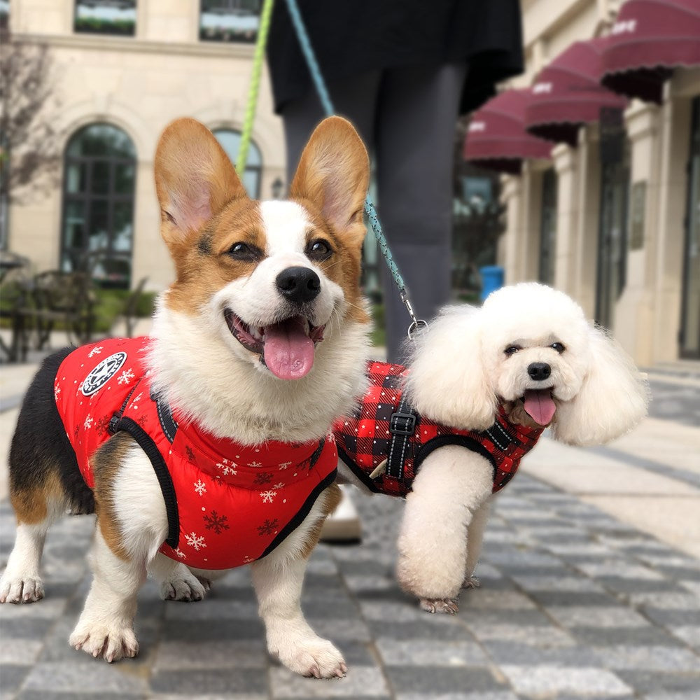 Waterproof Reflective Dog Belt for Winter Wear