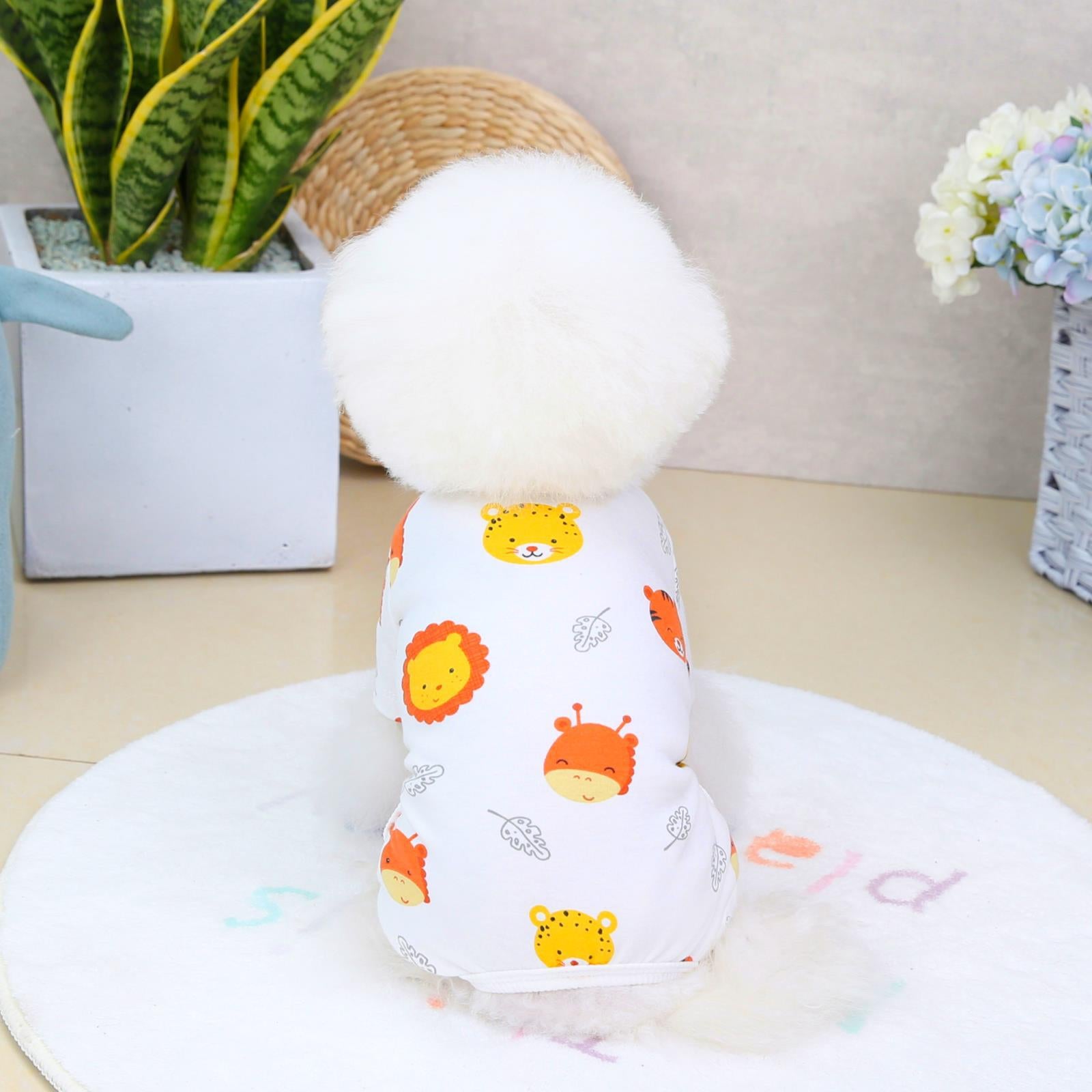 Casual Fashion Clothing for Four-Legged Pets