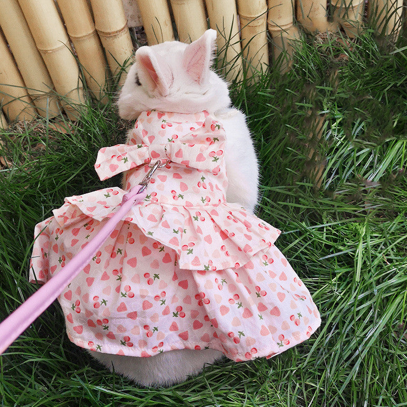 Leash for Bunny, Kitten, Cat, and Lop-Eared Rabbit