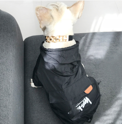 Dog Sunscreen for Skin Protection