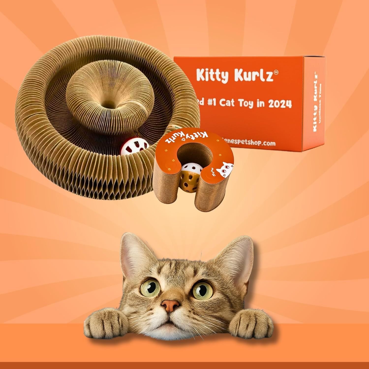 Cat Toy with Bells Accordion Scratching Post