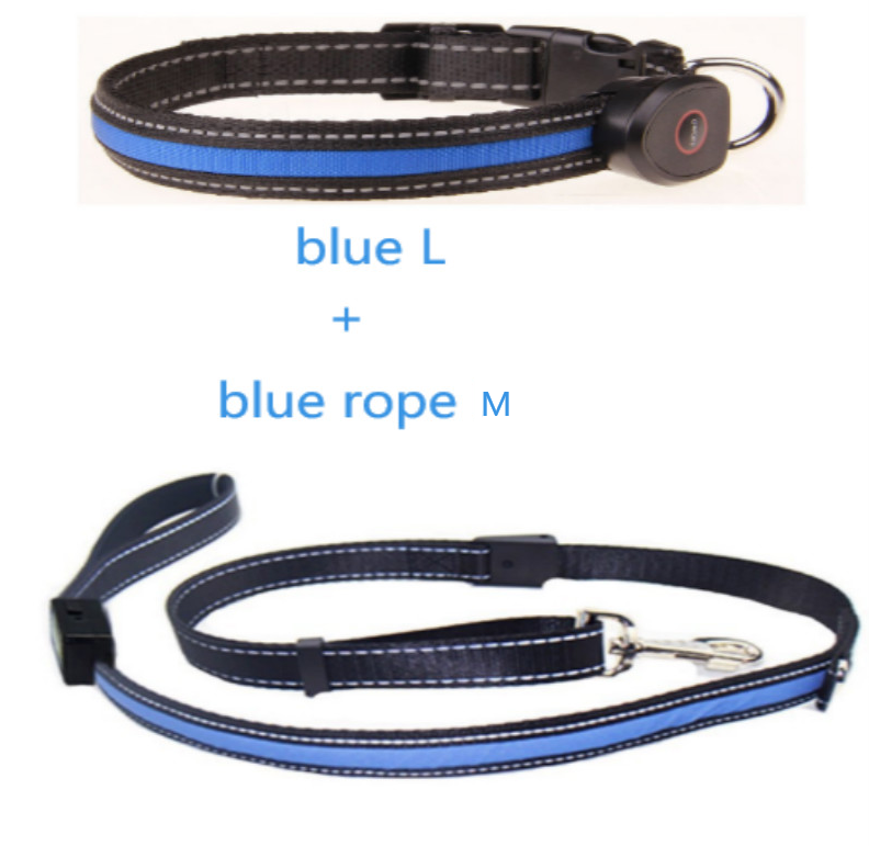 Luminous Dog Collar for Nighttime Safety and Visibility