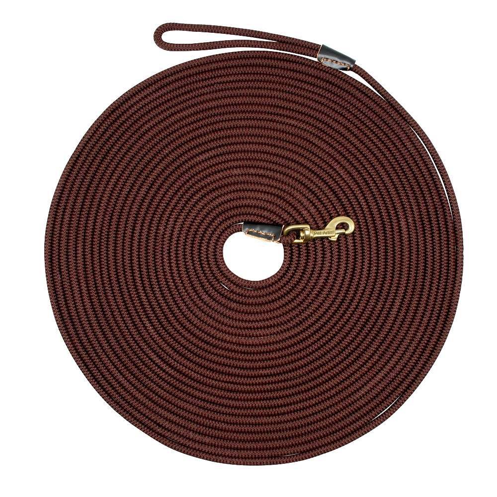 Pet Training Leash for Medium to Large Dogs