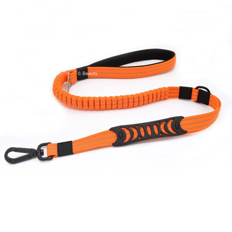 Elastic Pet Traction Rope with Impact Resistance