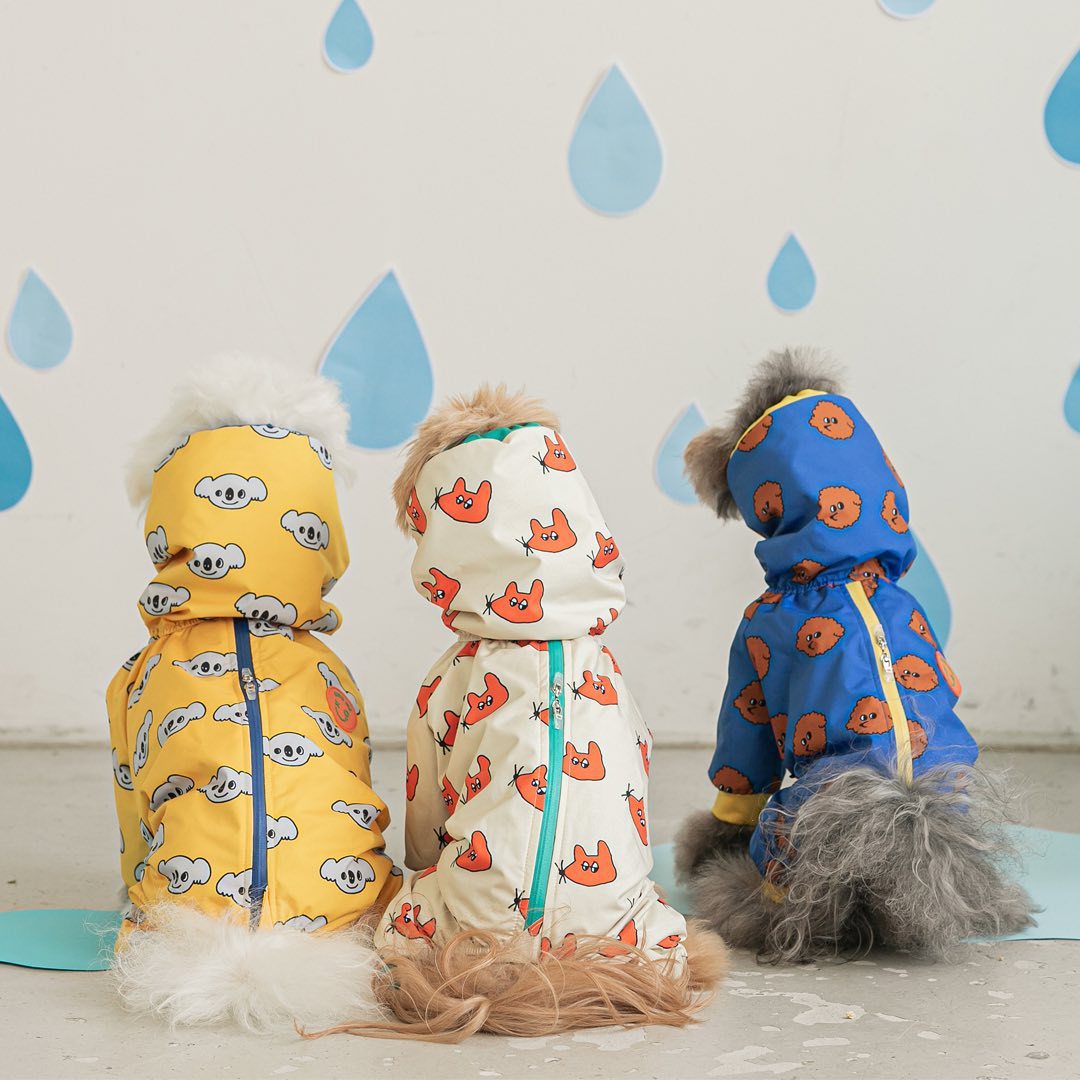 Fashionable Waterproof All-Around Raincoat for Dogs