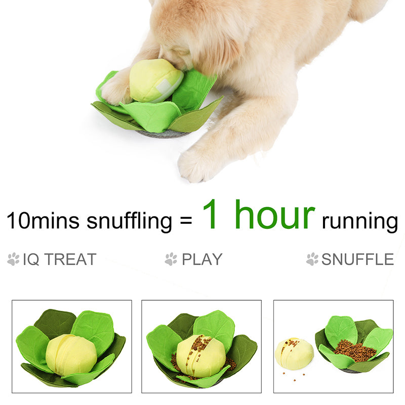 Cabbage Sniffing Toy and Slow Feed Dog Bowl