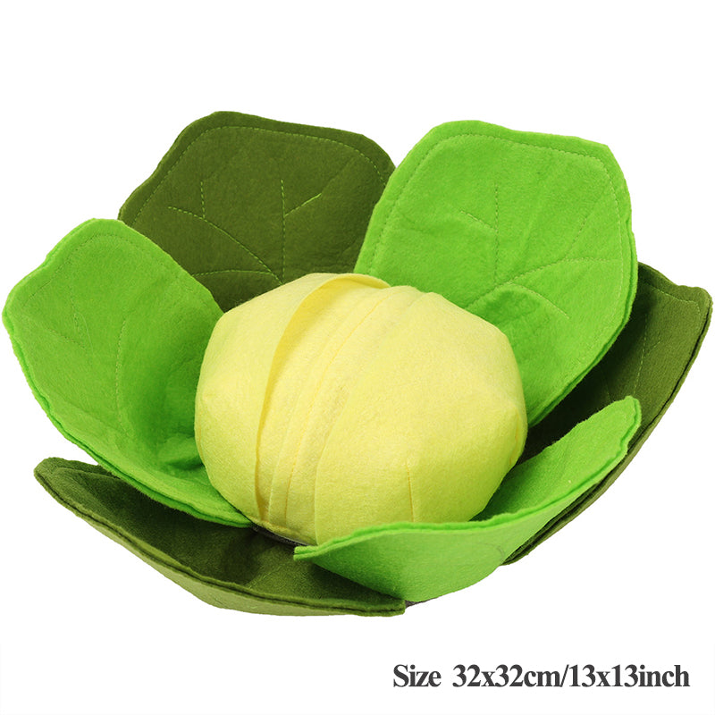 Cabbage Sniffing Toy and Slow Feed Dog Bowl