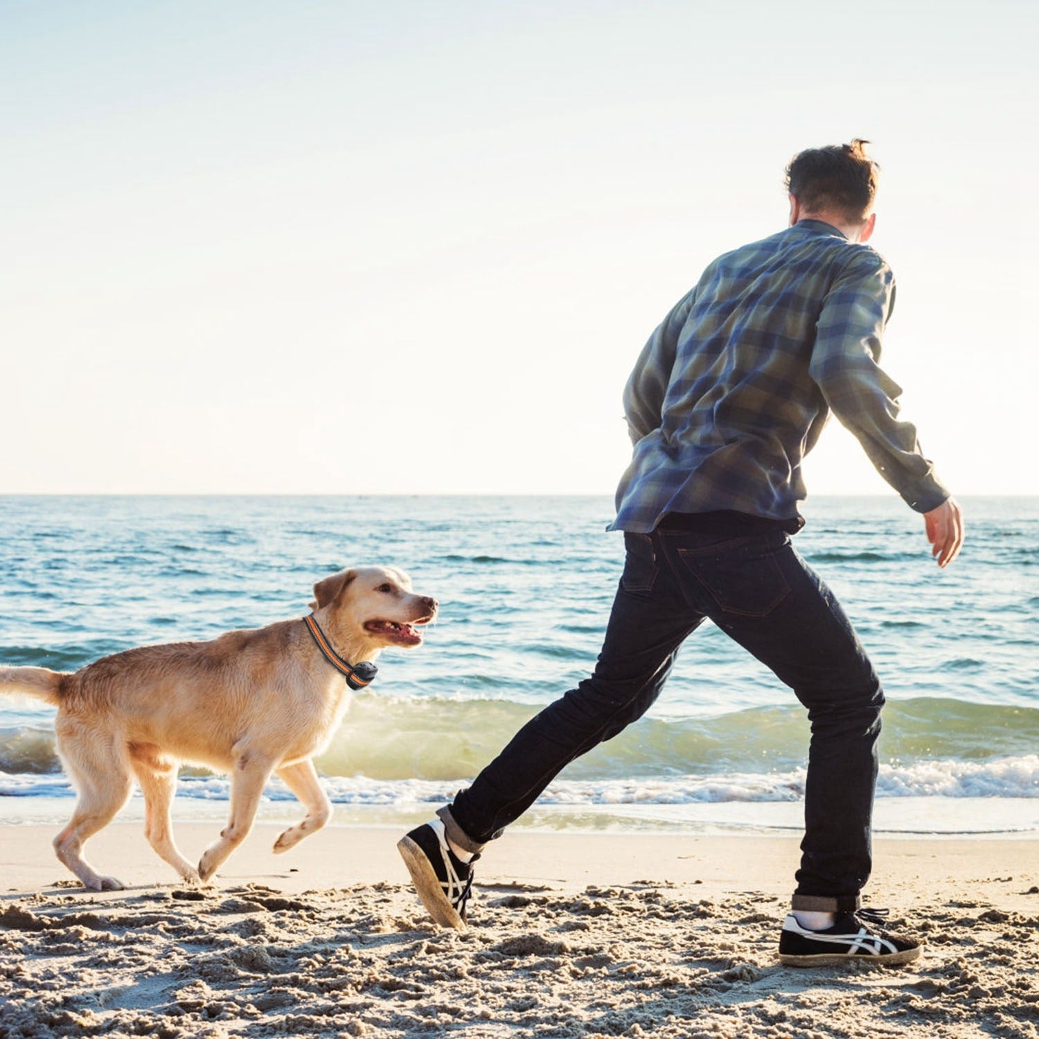 2-in-1 Dog GPS Fence and Tracker
