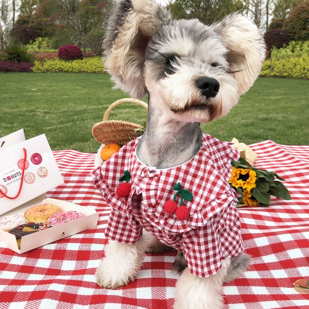Checkered Summer Shirt for Small Dogs