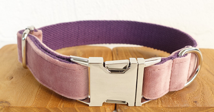 Soft Plush Dog Leash and Collar in Pink Purple