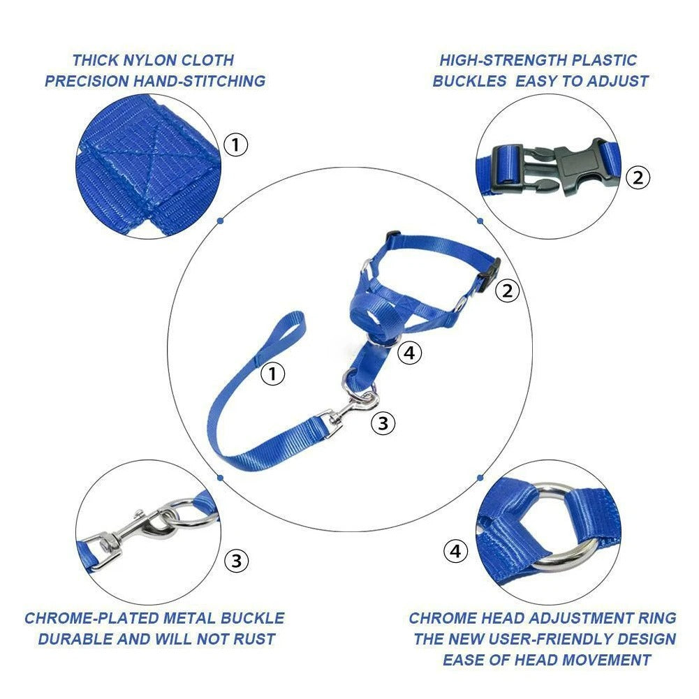 Dog Muzzle & Leash, Nylon