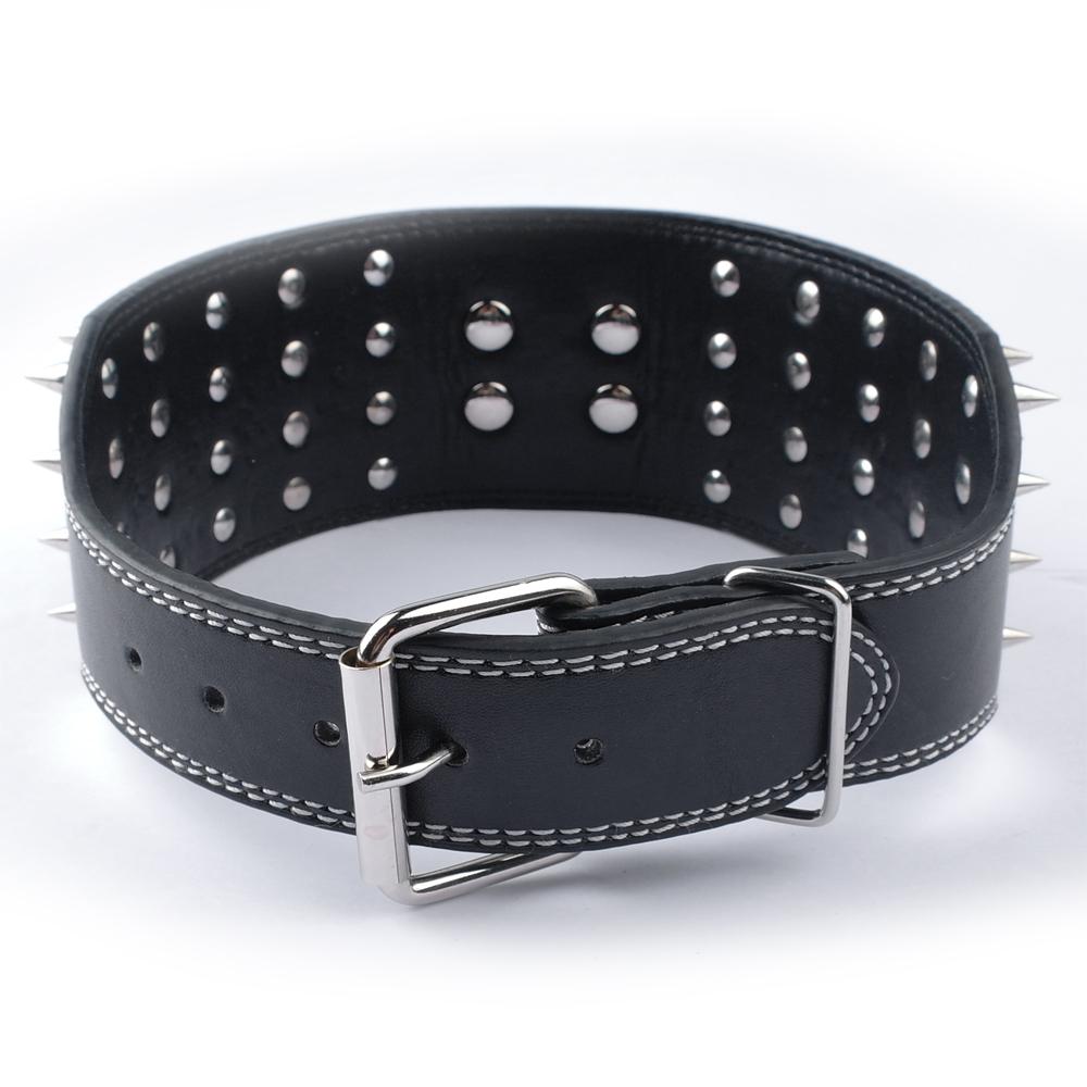 New Sharp Spiked Collar for Large Dogs (Golden Retriever)