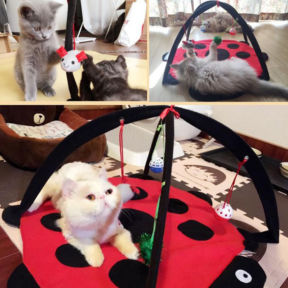 Folding Cat Tent and Hammock Play Mat for Cats