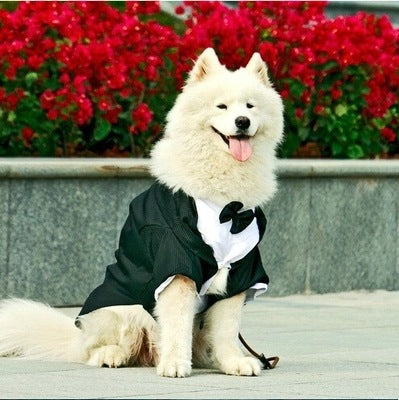 Wedding Suit for Dogs - Fall & Winter Pet Clothing