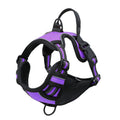 Reflective Breathable Dog Harness Leash Set