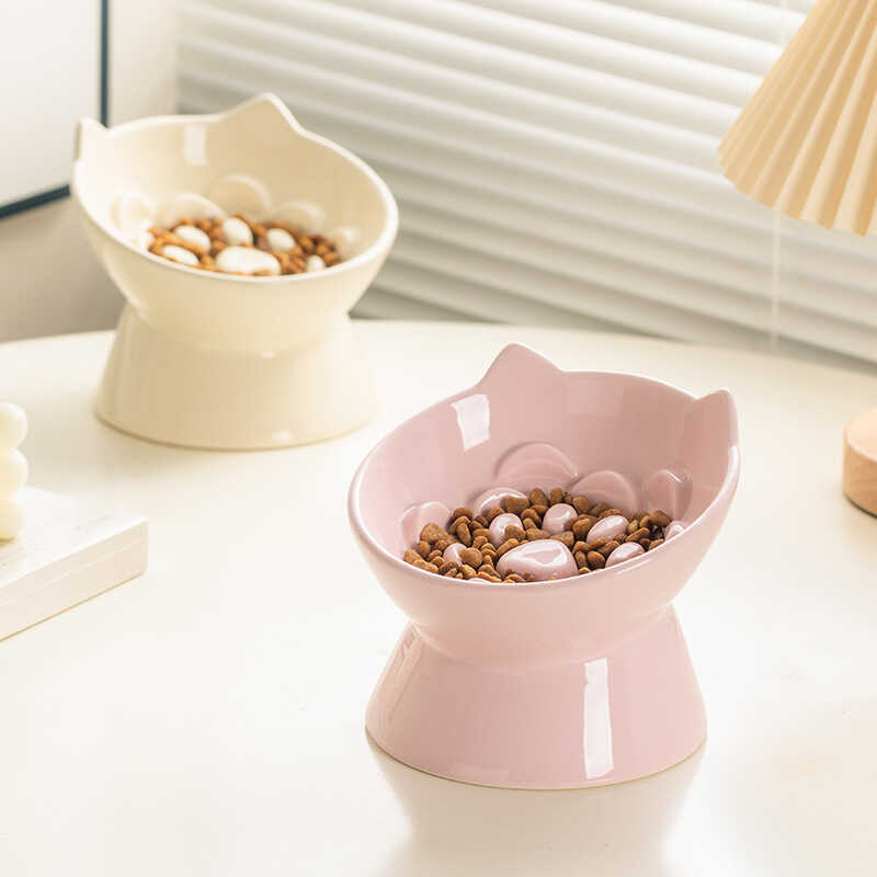 Ceramic Slow Feeder Pet Bowl