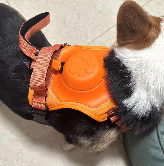 SnugStep Harness and Leash for Pets (One Piece)