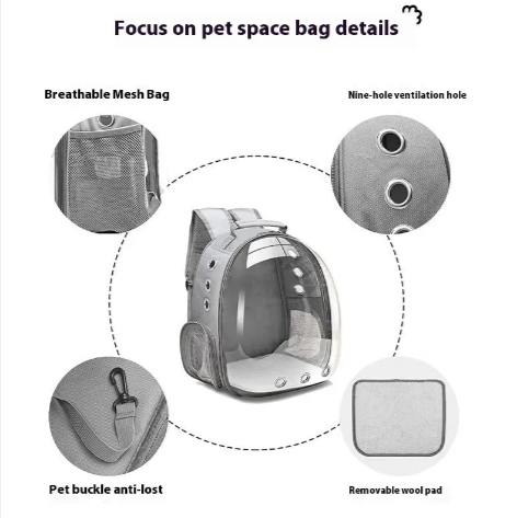 Large Transparent Cat Backpack