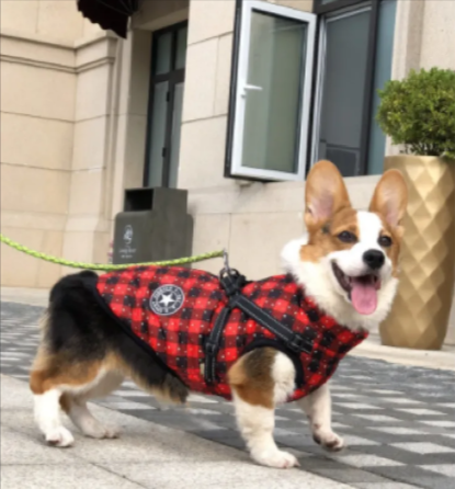 Winter Warm Hooded Coat for Small Dogs and Cats - view 51