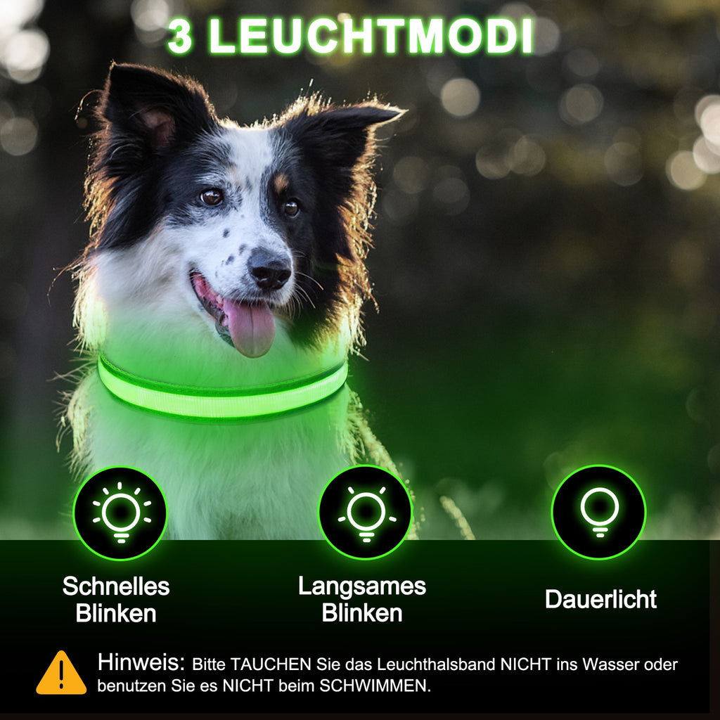 Dog Collar Rechargeable