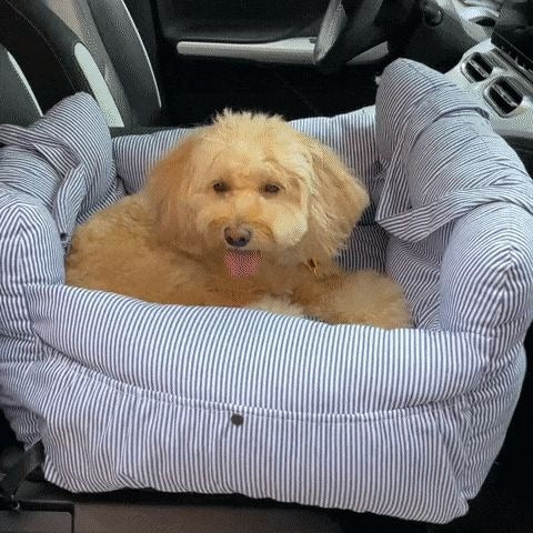 Car Kennel Pet Seat for Co-driving