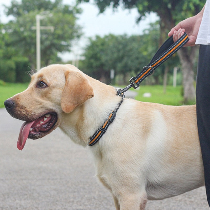 Big Dog Short Traction Rope for Step Training