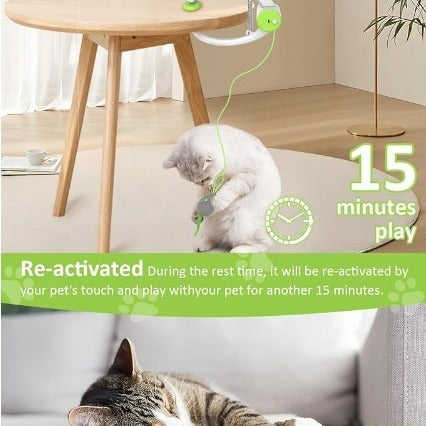 Colorful Beating Mouse Electric Door Toy