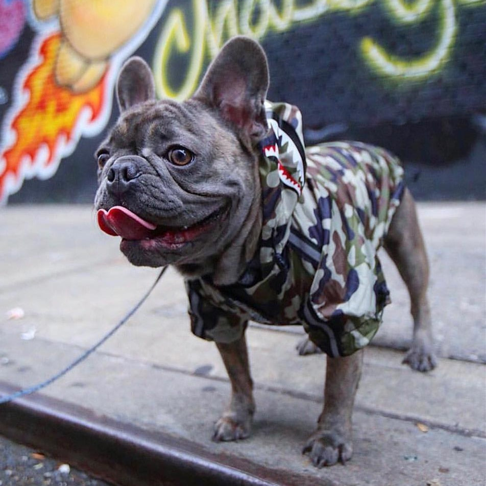 2019 Waterproof Dog Raincoat with Hood and Breathability