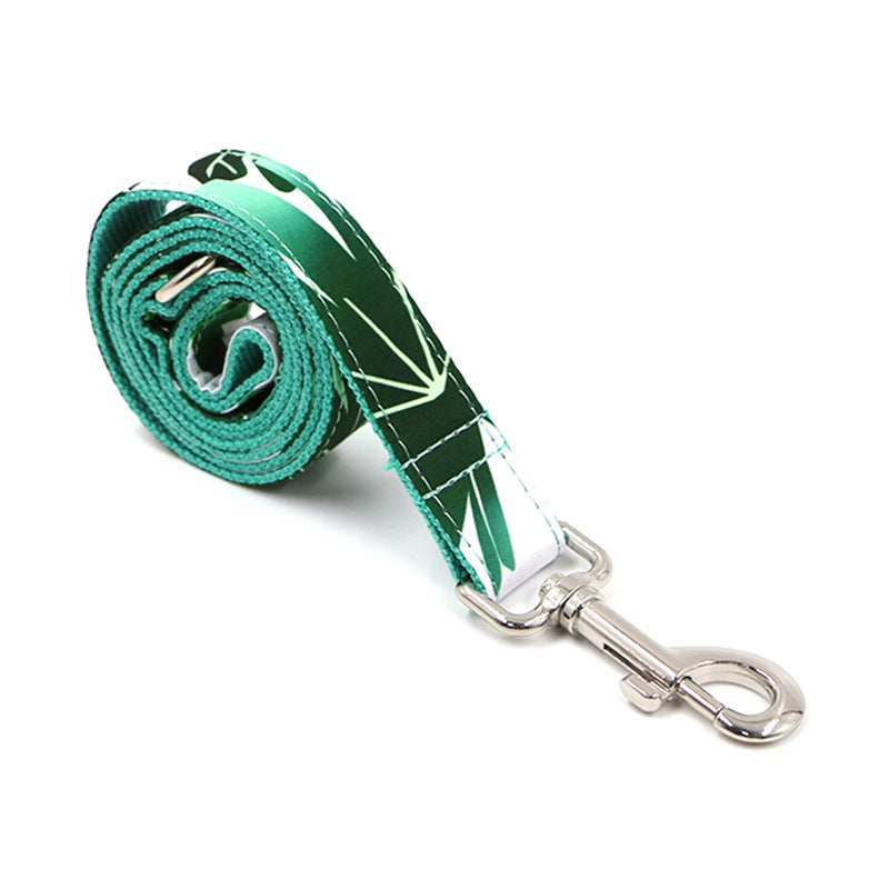 Dog Collar and Traction Belt Walking Set