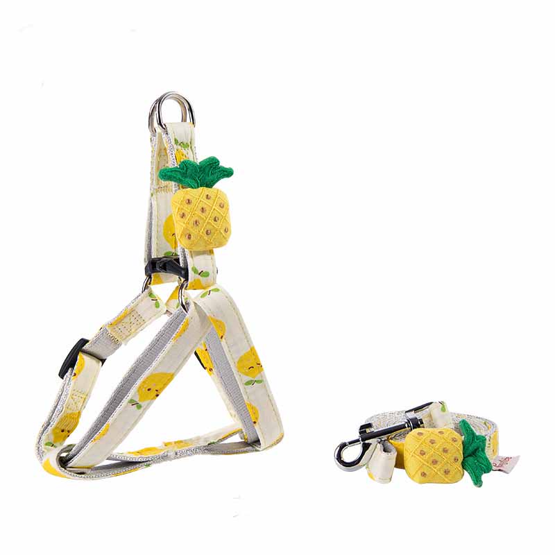 Fruit Series Dog Collars and Leash for Outings