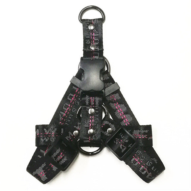 Gold Chain Nylon Dog Collar and Leash Set for Pets