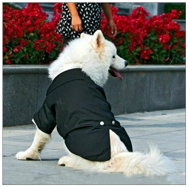 Wedding Suit for Dogs - Fall & Winter Pet Clothing